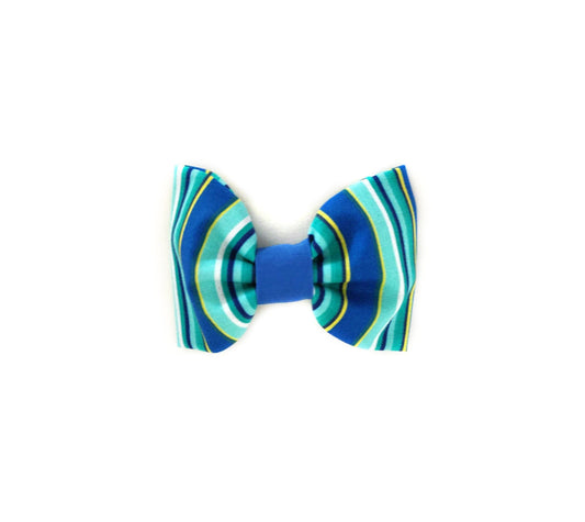 Blue Summer Stripes Collar Flower/Bow Tie