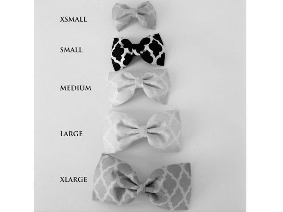 Multicolor Triangle Bow Tie/Flower - Charlotte's Pet