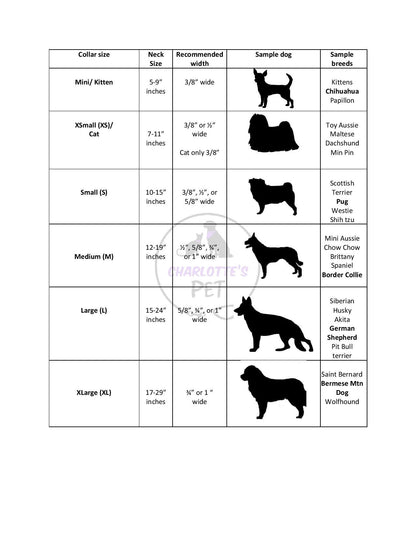 Stars and Paws Dog Collar/ Cat Collar - Charlotte's Pet