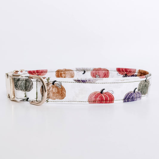 Glimmer Pumpkins Dog Collar/ Cat Collar
