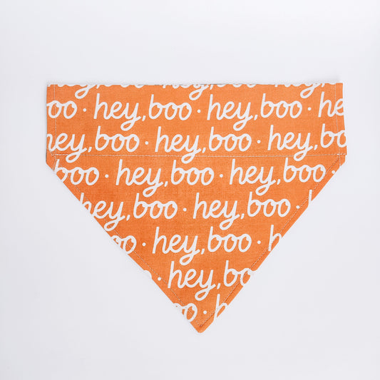 Hey Boo in Orange Dog Bandana & Cat Bandana