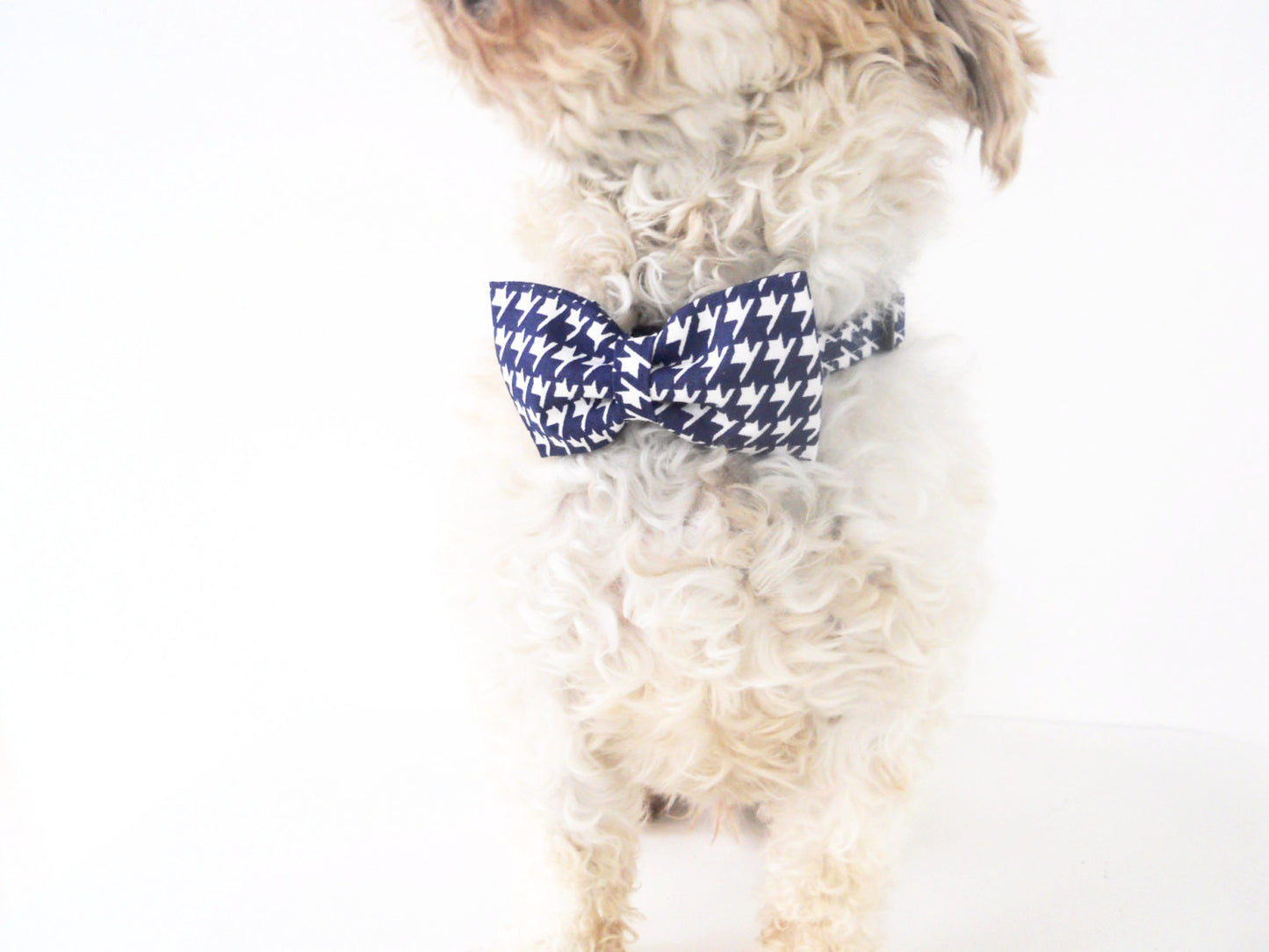 Navy Blue Houndstooth Bow Tie/Flower - Charlotte's Pet