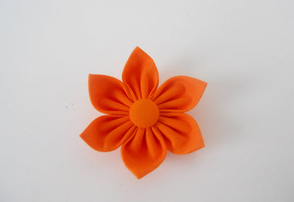 Orange Flower/Bow Tie - Charlotte's Pet
