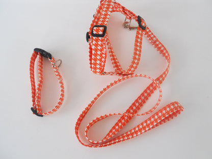 Matching Collar, Leash, and Harness Set - Charlotte's Pet