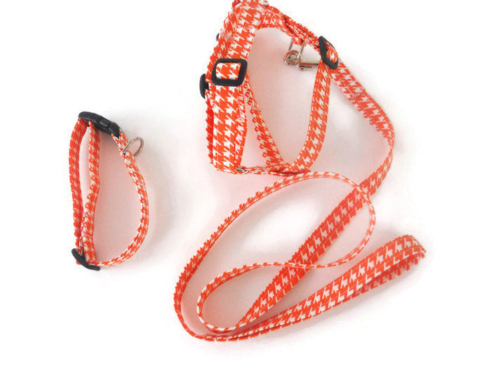 Orange collar, leash, and harness set - Charlotte's Pet
