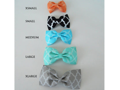 Teal Quatrefoil Bow Tie/Flower - Charlotte's Pet