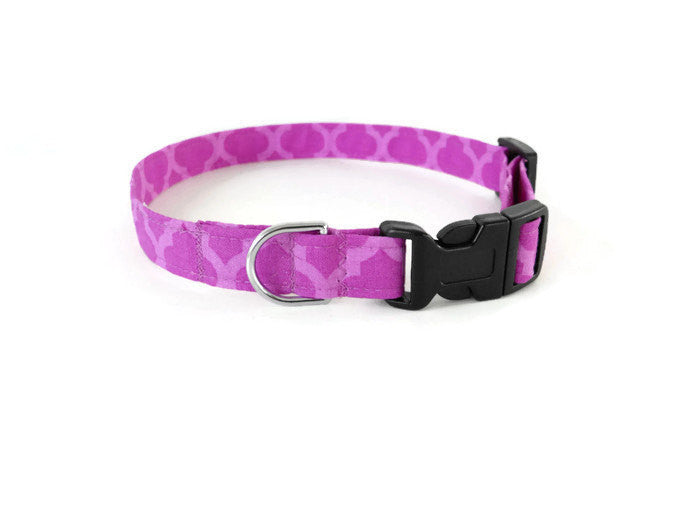 Purple Quatrefoil Collar - Charlotte's Pet