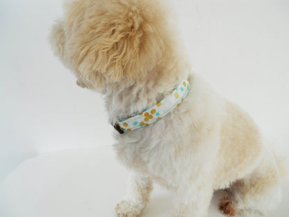 Teal and Gold  Polka Dot Collar - Charlotte's Pet