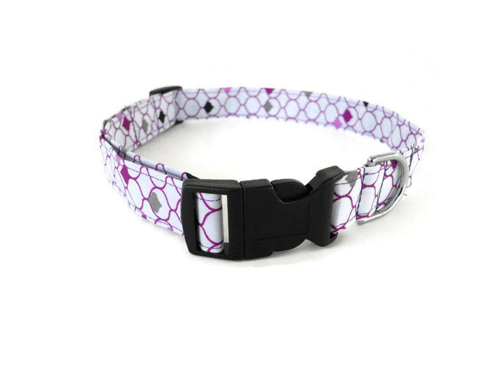 White and Purple Collar - Charlotte's Pet