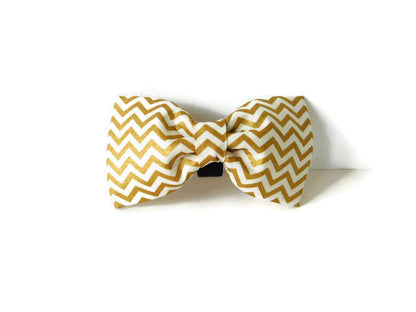 Cream and Gold Bow Tie/Flower - Charlotte's Pet