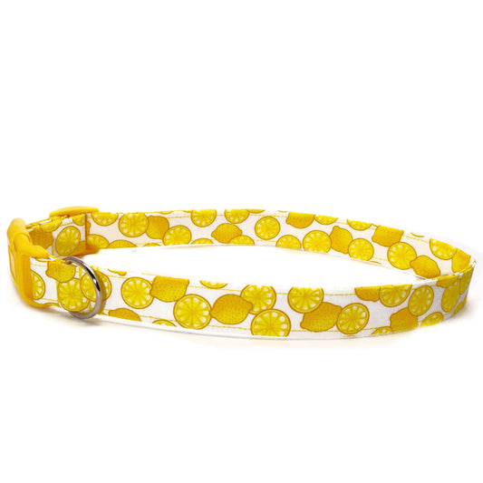 Lemon Squeeze Dog Collar/ Cat Collar