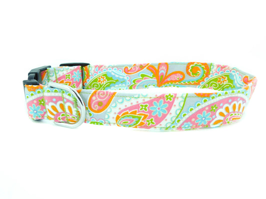 Multi-Color Paisley Collar - Charlotte's Pet