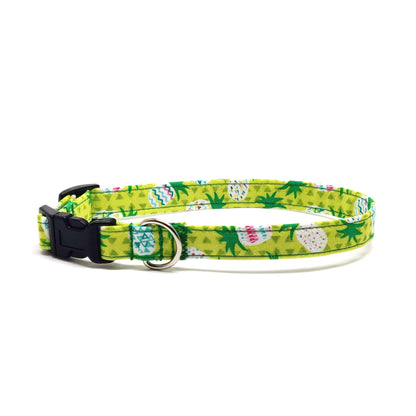 Pineapple Jello Dog Collar/ Cat Collar