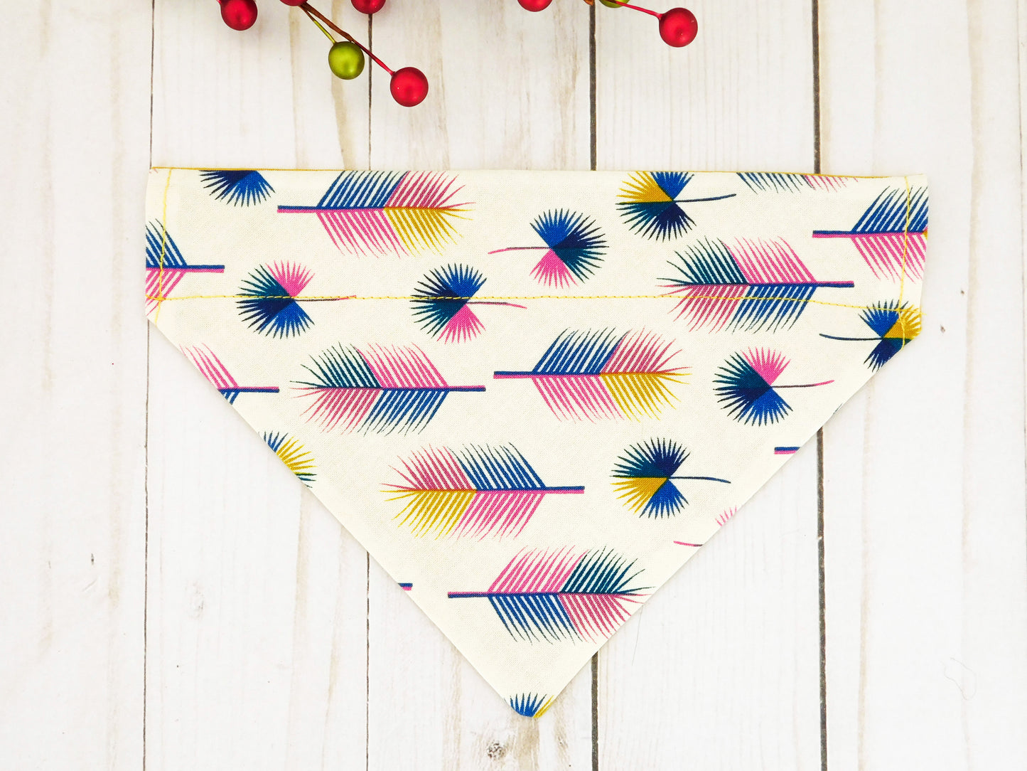 Multicolor Feather Dog Bandana - Charlotte's Pet