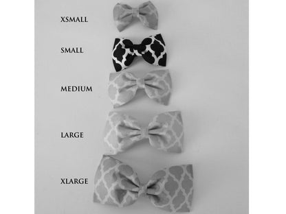 Purple Multicolor Flower/Bow Tie - Charlotte's Pet