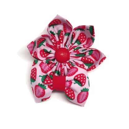 Strawberry Slices Dog & Cat Bow Tie/ Collar Flower
